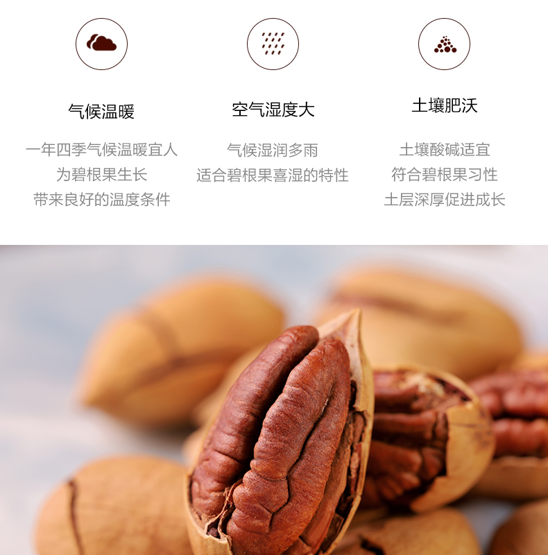 未标题-1-恢复的_06.jpg