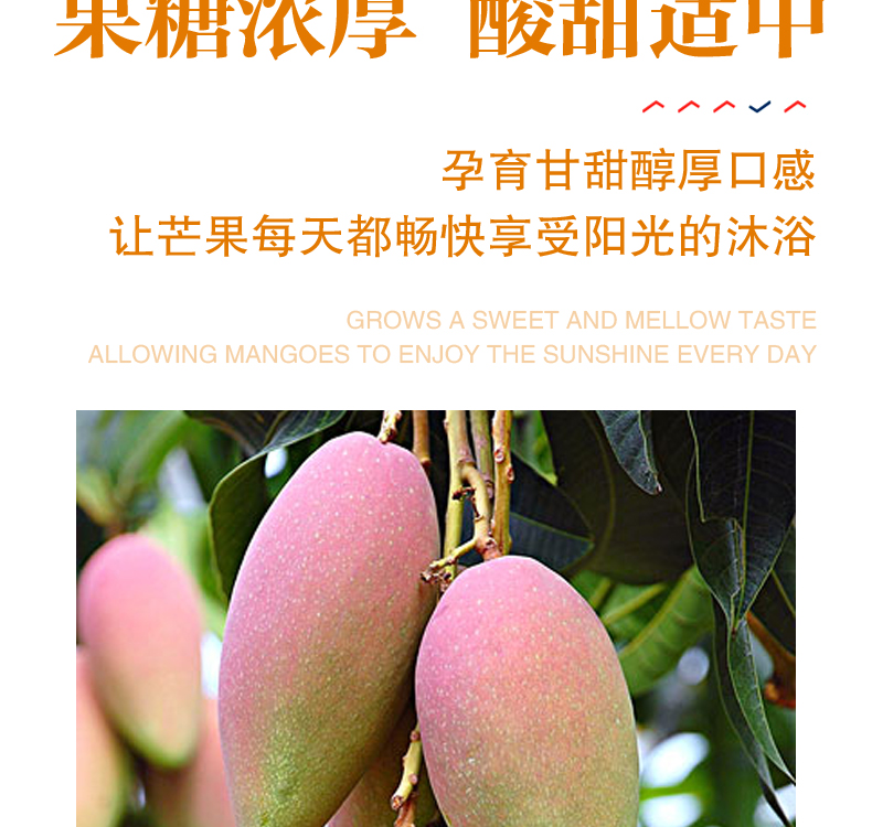 未标题-1_07.jpg