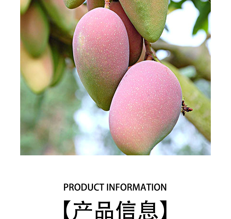 未标题-1_08.jpg