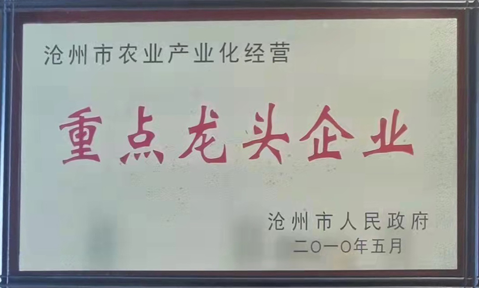 未标题-2.jpg