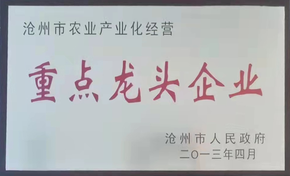 未标题-6.jpg
